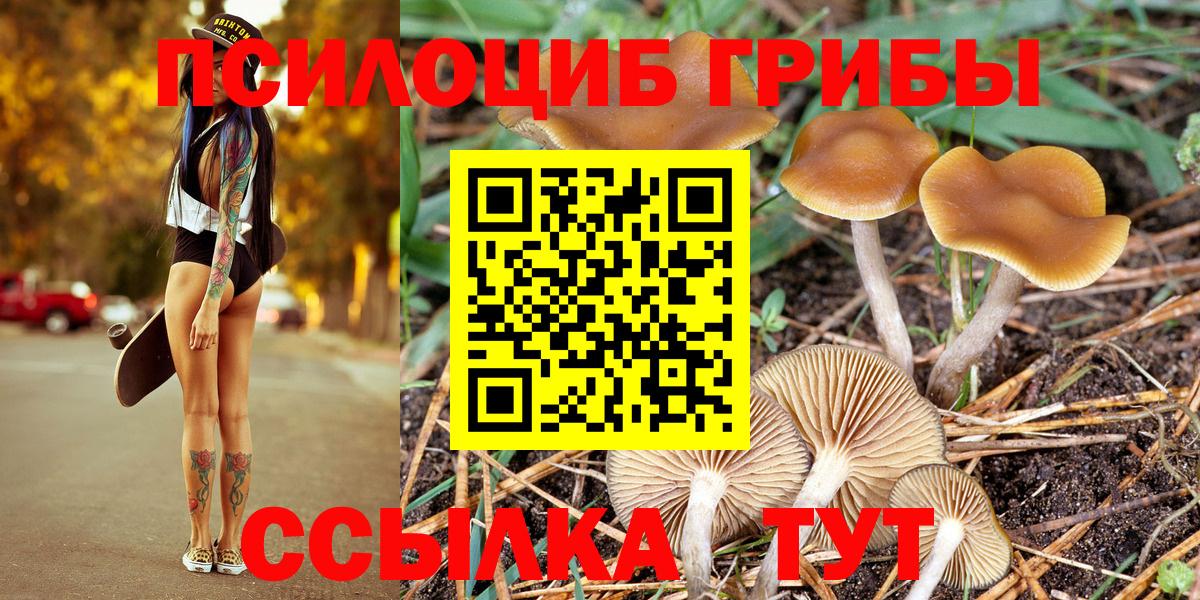 Галлюциногенные грибы Cubensis Волжский